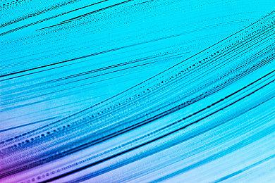 《宝可梦 朱＆紫》新TVCM公布 11月18日正式发售